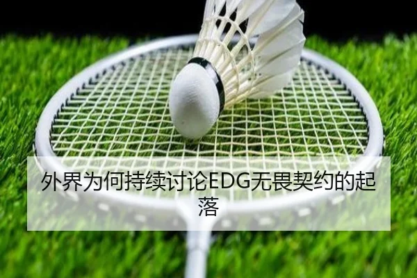 外界为何持续讨论EDG无畏契约的起落